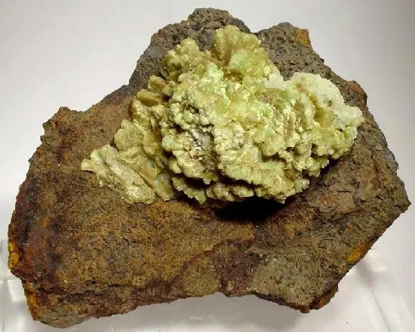 Adamite image