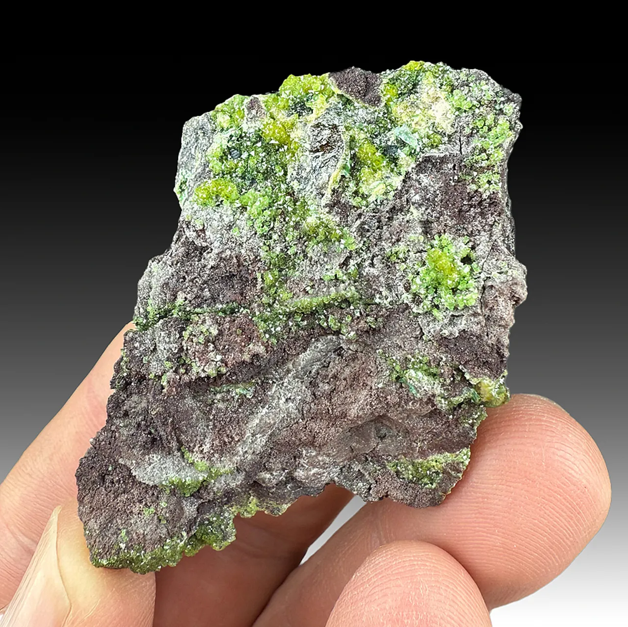 Adamite - image 1