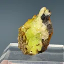 Adamite - image 2