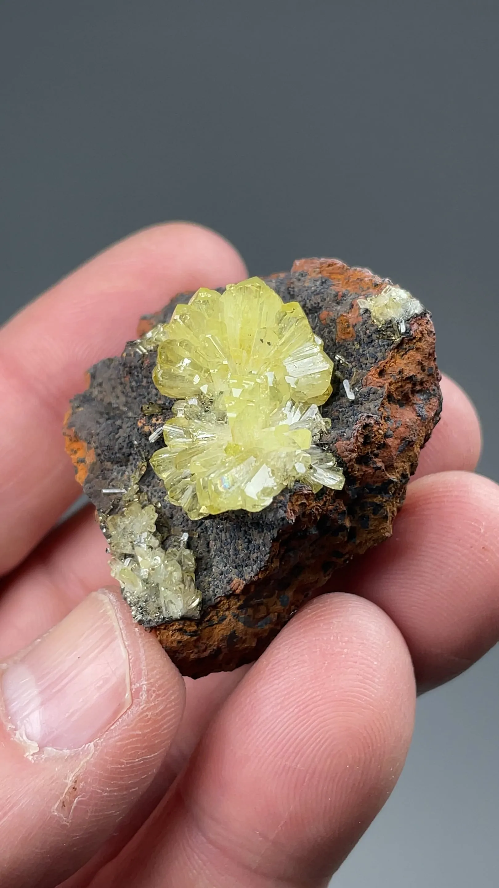 Adamite - image 2