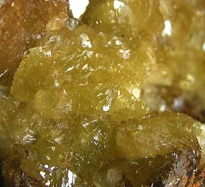 Adamite - image 2