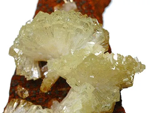 Adamite image