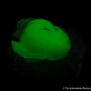 Adamite - image 2