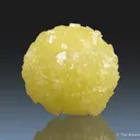 Adamite - image 1