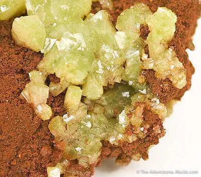 Adamite image