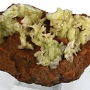 Adamite - image 1