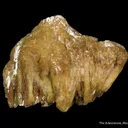 Adamite - image 1