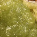 Adamite - image 2