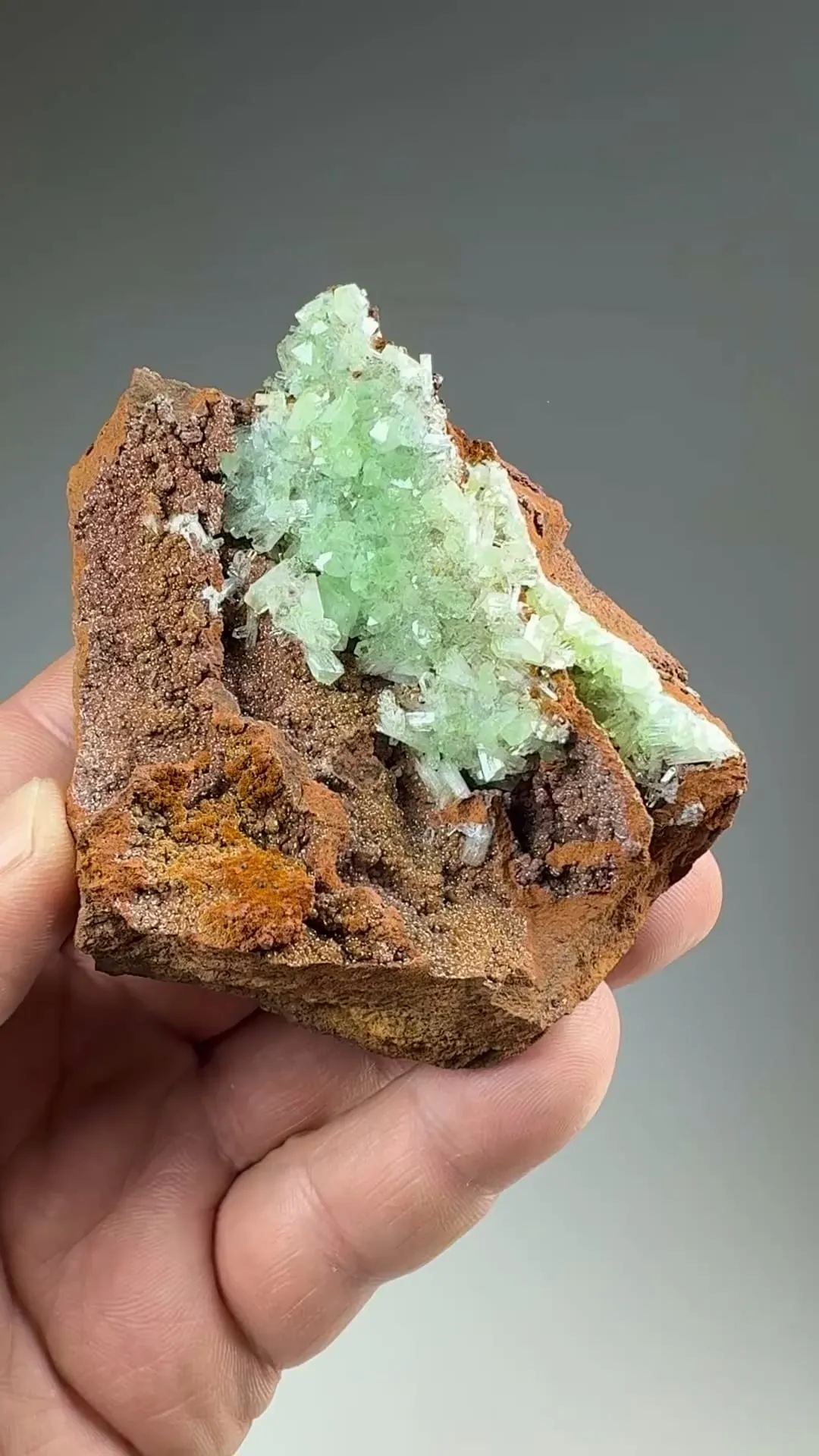 Adamite - image 2