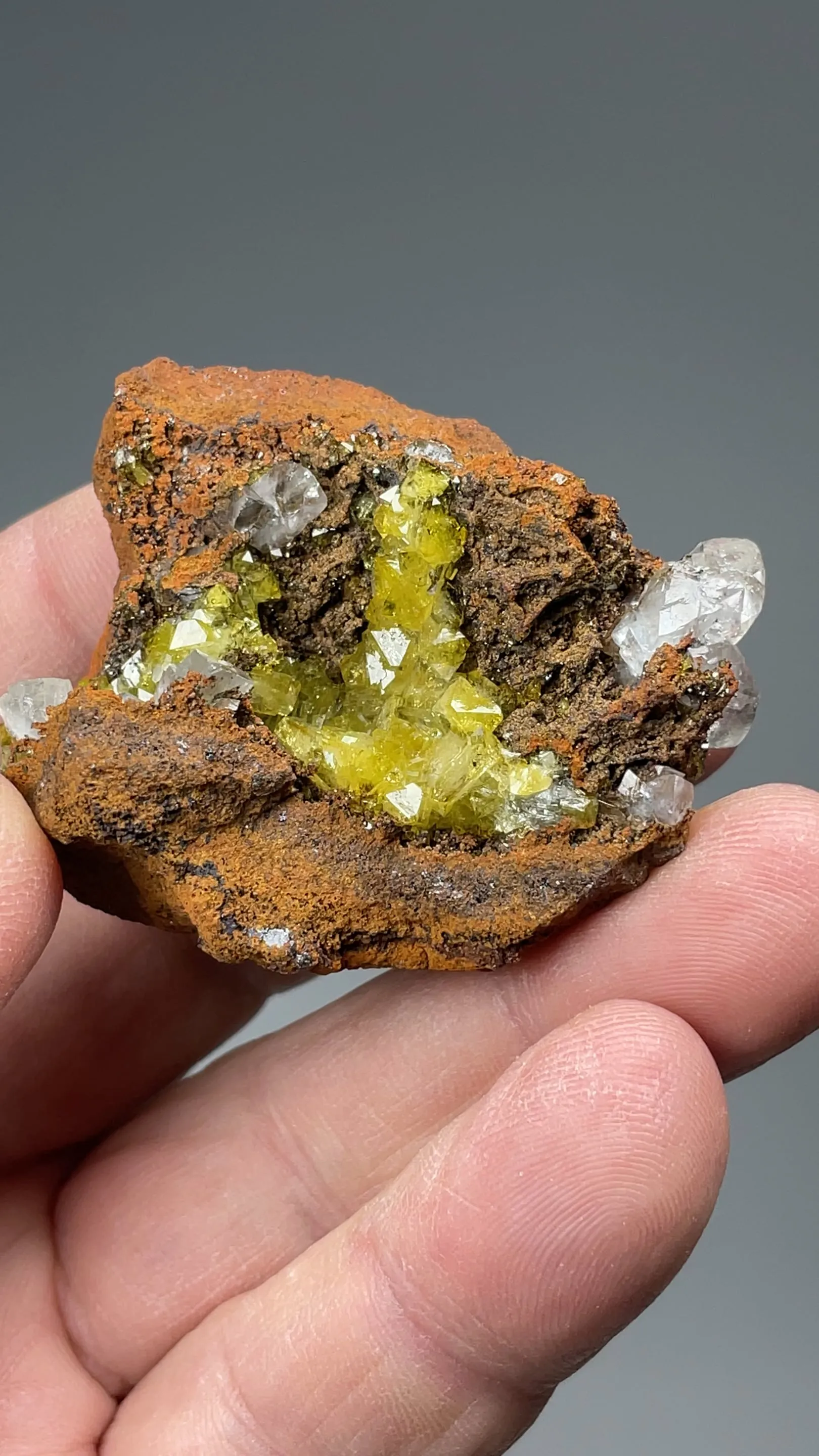 Adamite - image 2