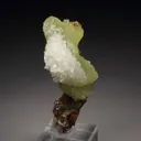 ADAMITE, CALCITE from Mexico, Durango, Mapimí, Ojuela Mine - image 2