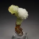 ADAMITE, CALCITE from Mexico, Durango, Mapimí, Ojuela Mine - image 3