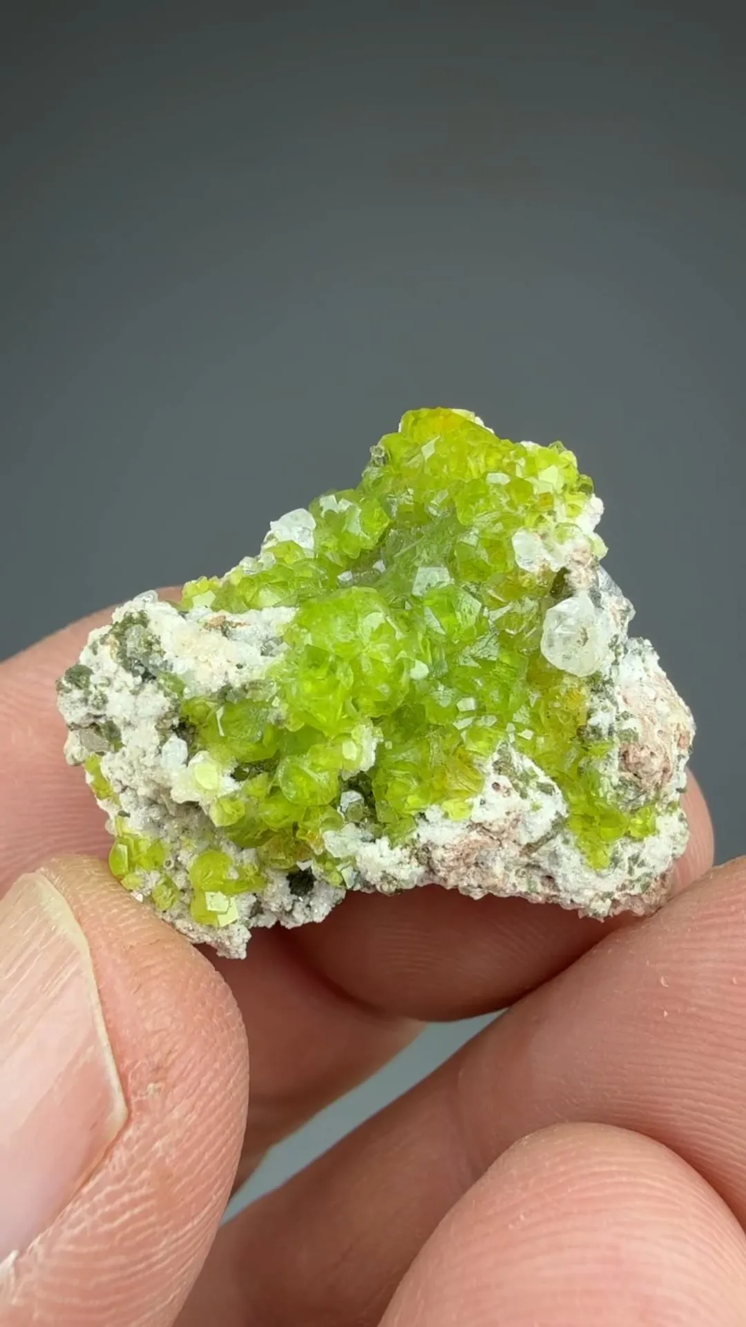 Adamite - image 2