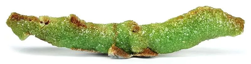 Adamite image