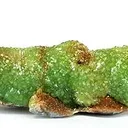 Adamite - image 1