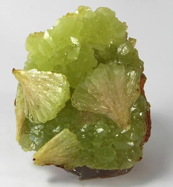 Adamite image