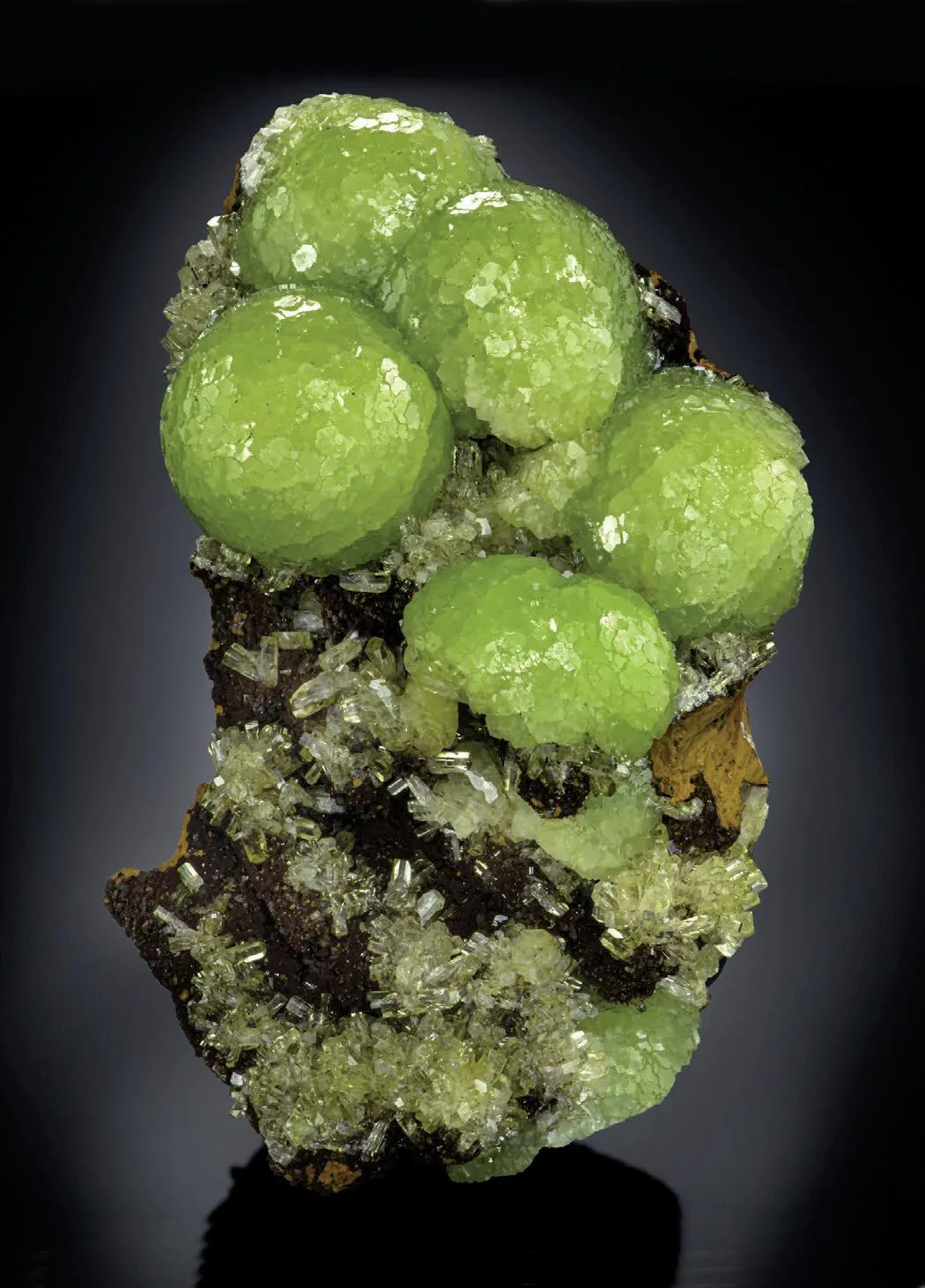 Adamite - image 1