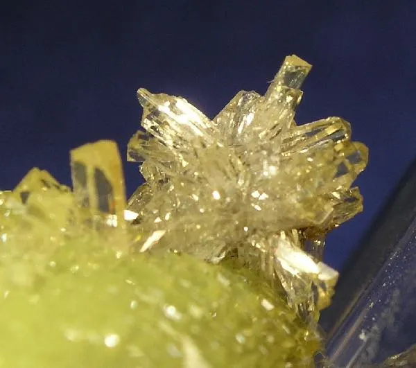 Adamite - image 2