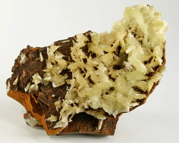 Adamite image