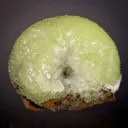Adamite - image 1