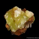 Adamite - image 1