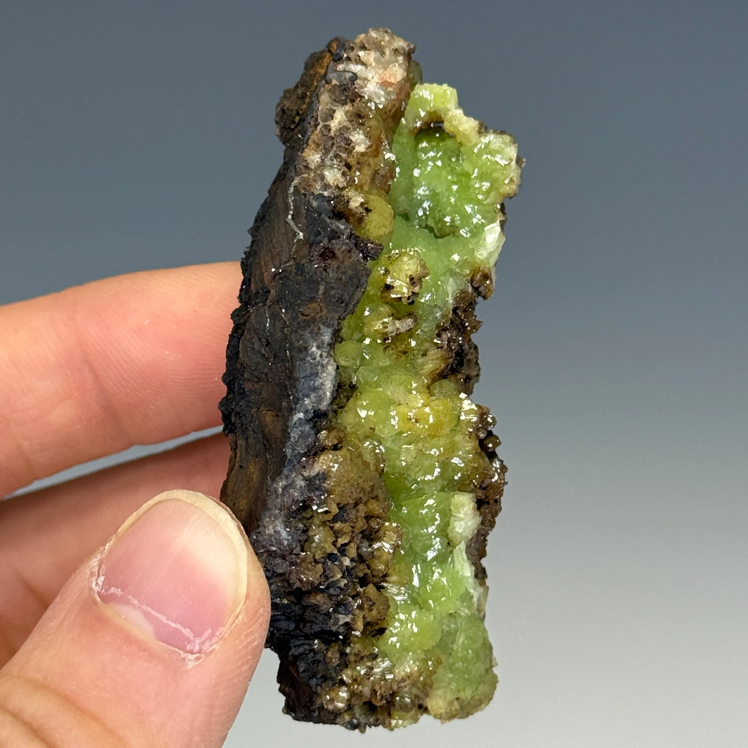 Adamite - image 2