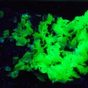 Adamite - image 3