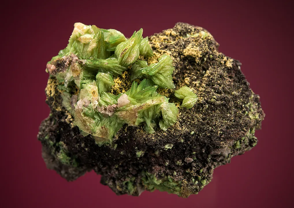 Adamite image