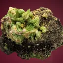 Adamite - image 1