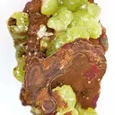 Adamite - image 1