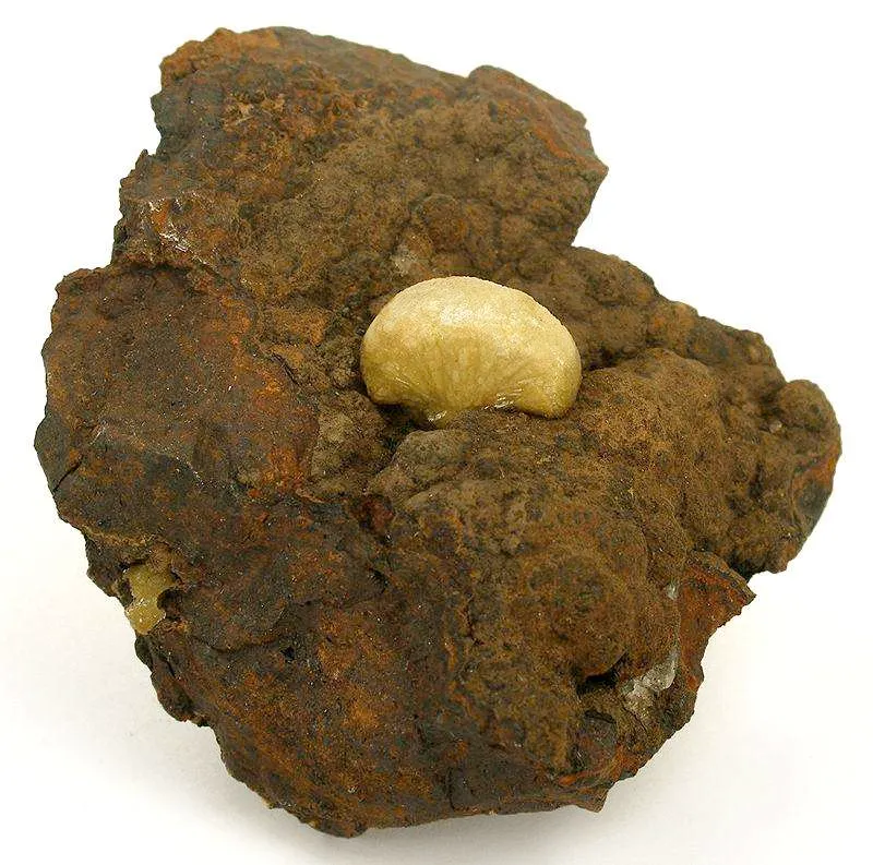 Adamite image