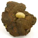 Adamite - image 1