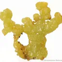 Adamite - image 1