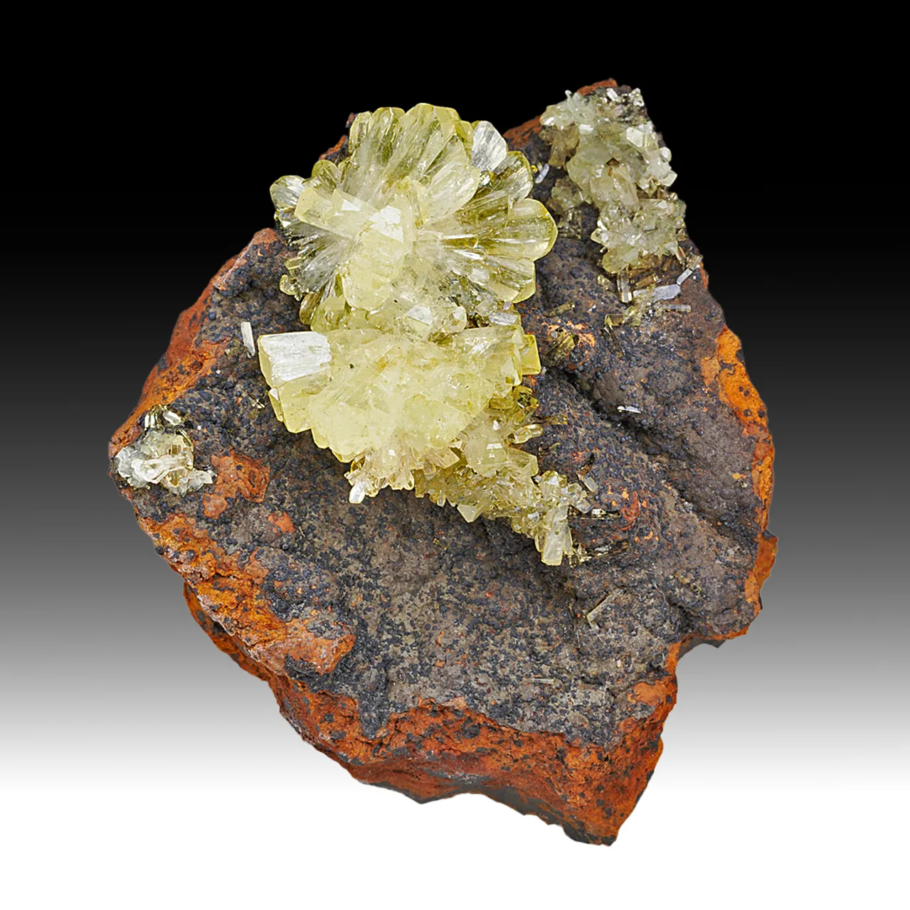 Adamite - image 1