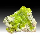 Adamite - image 1