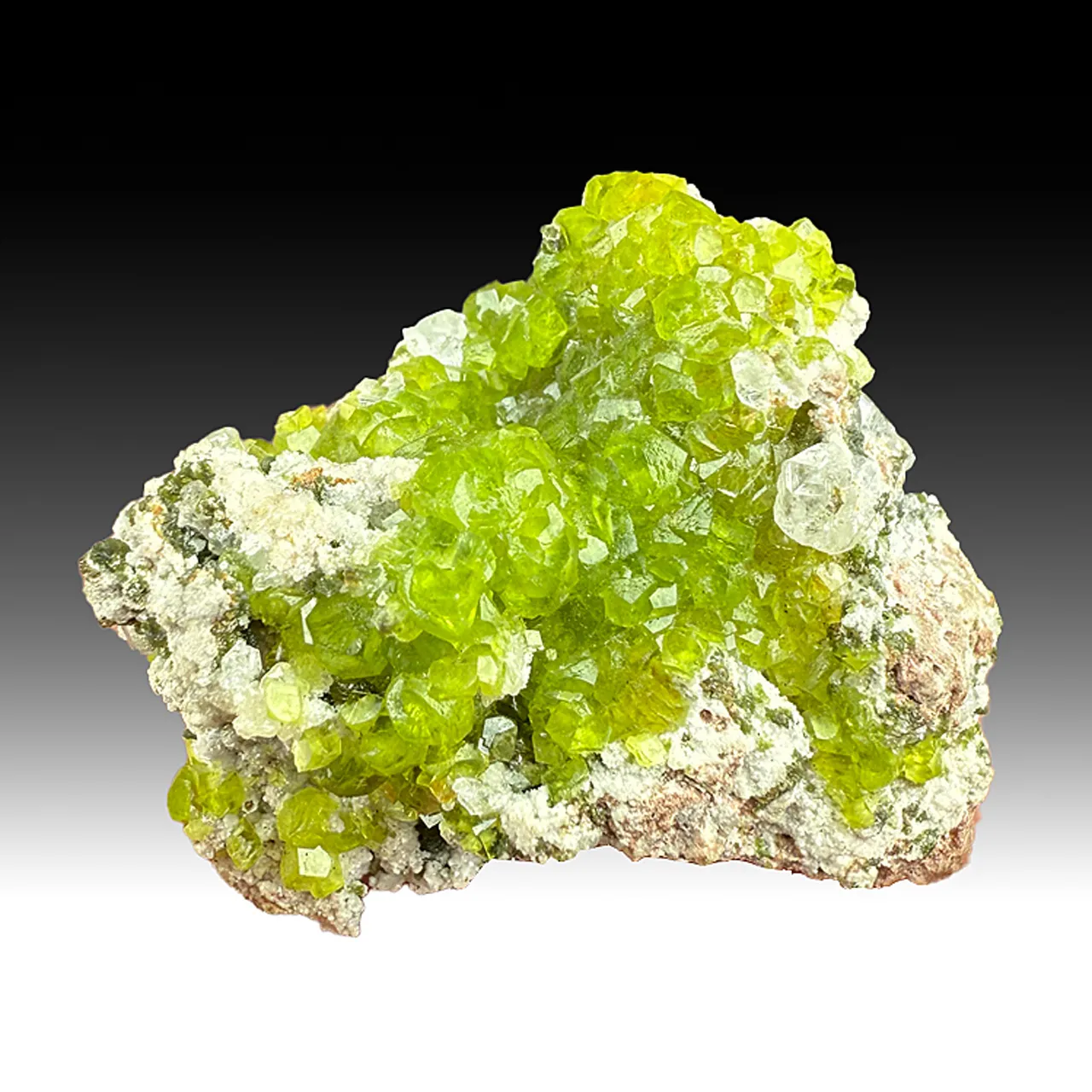 Adamite - image 1