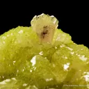 Adamite - image 2