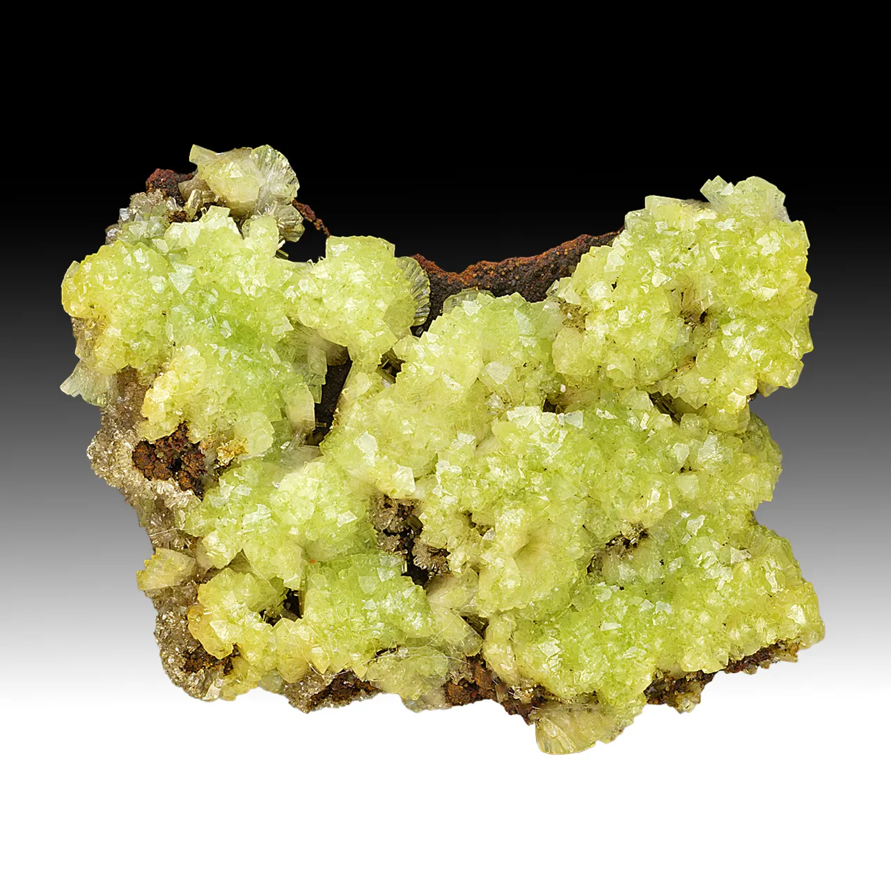 Adamite - image 1