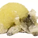 Adamite - image 1