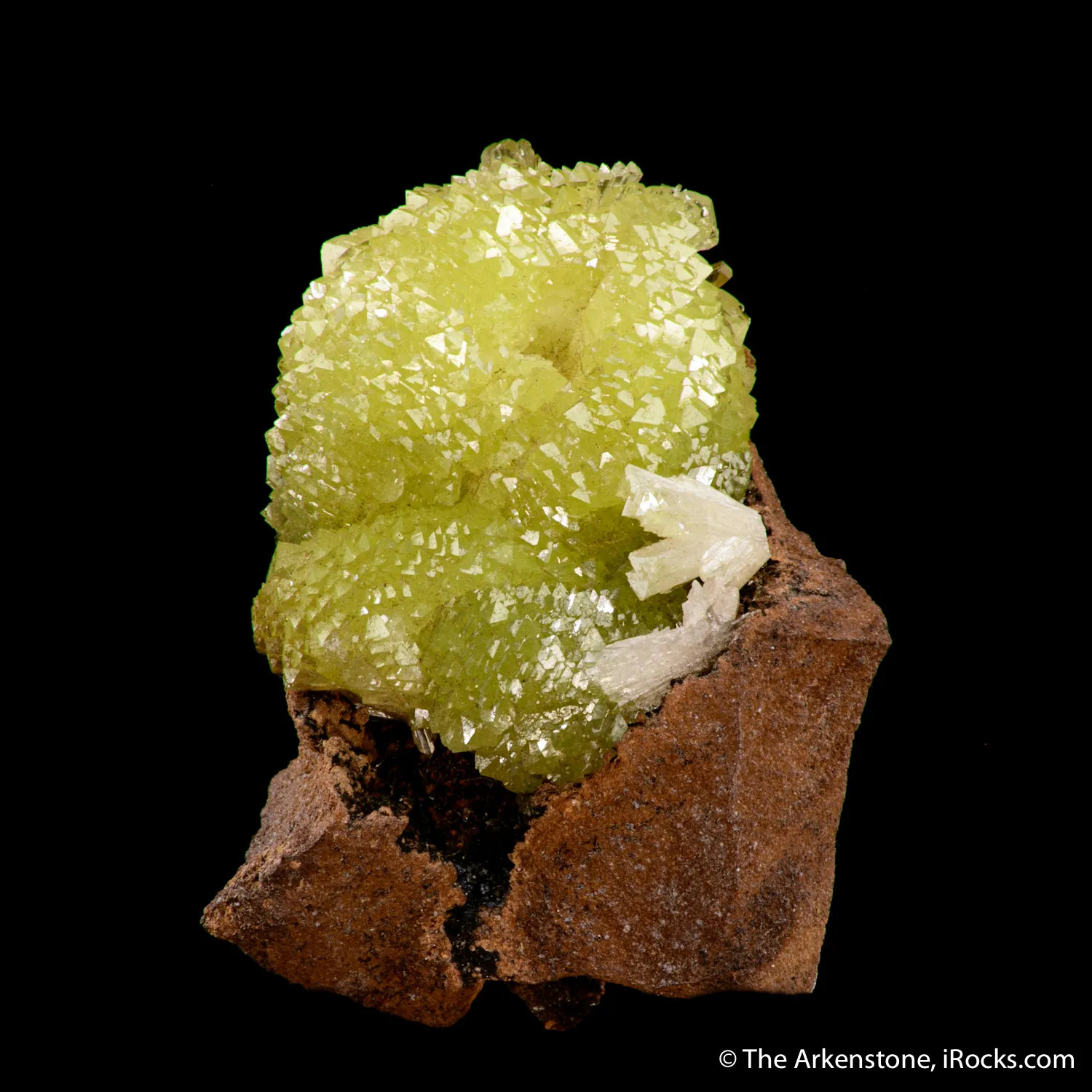 Adamite - image 1
