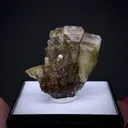 Adamite - image 2