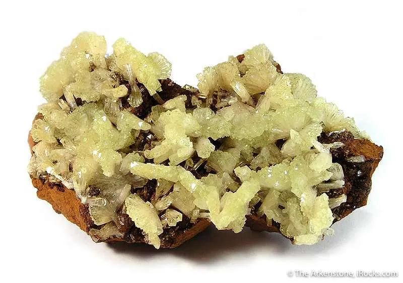 Adamite image