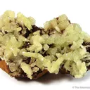 Adamite - image 1