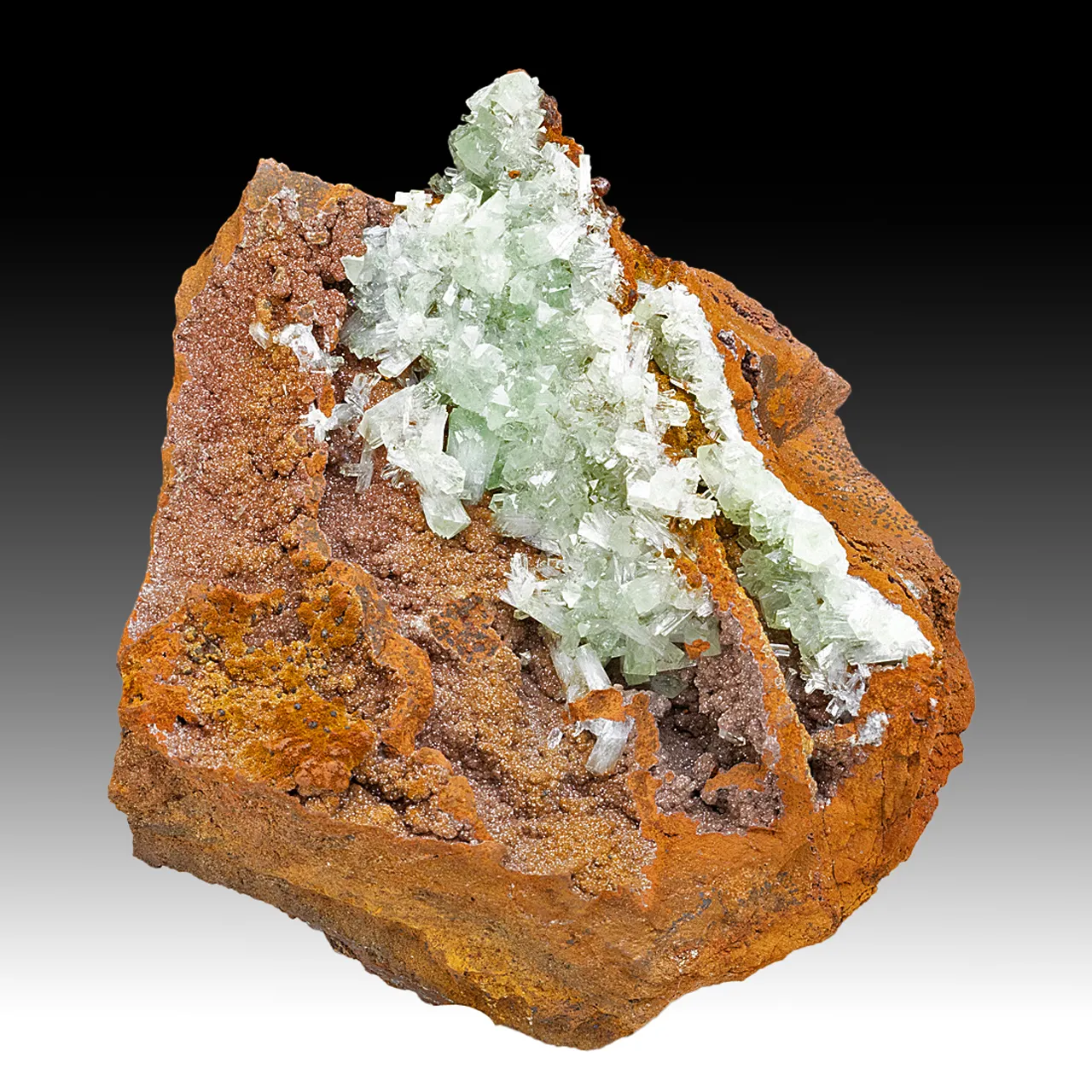 Adamite - image 1