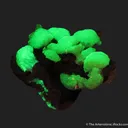 Adamite (fluorescent) - image 7