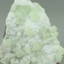 Adamite from Greece, Attica, Christiana Mine - image 4