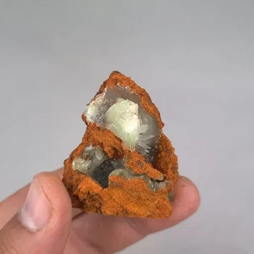 specimen video