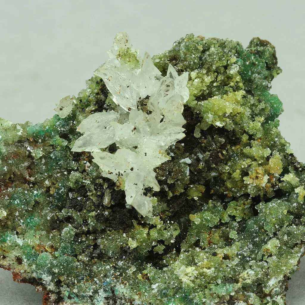 Adamite from Greece, Attica, Kamariza Mines, Hilarion Mine image