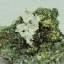 Adamite from Greece, Attica, Kamariza Mines, Hilarion Mine - image 1