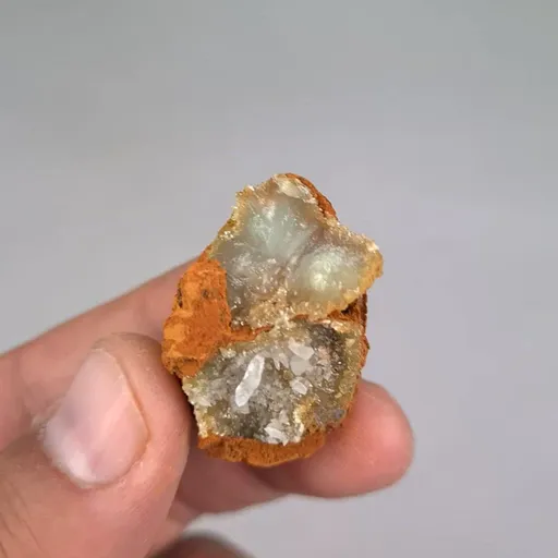 specimen video